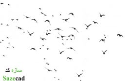 دانلود رایگان تصاویر با کیفیت از پرندگان برای پست پروداکشن