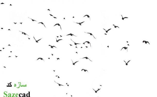 دانلود رایگان تصاویر با کیفیت از پرندگان برای پست پروداکشن