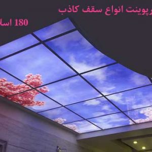 پاورپوینت انواع سقف کاذب