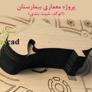 دانلود پروژه طراحی بیمارستان (اتوکد، شیت بندی)